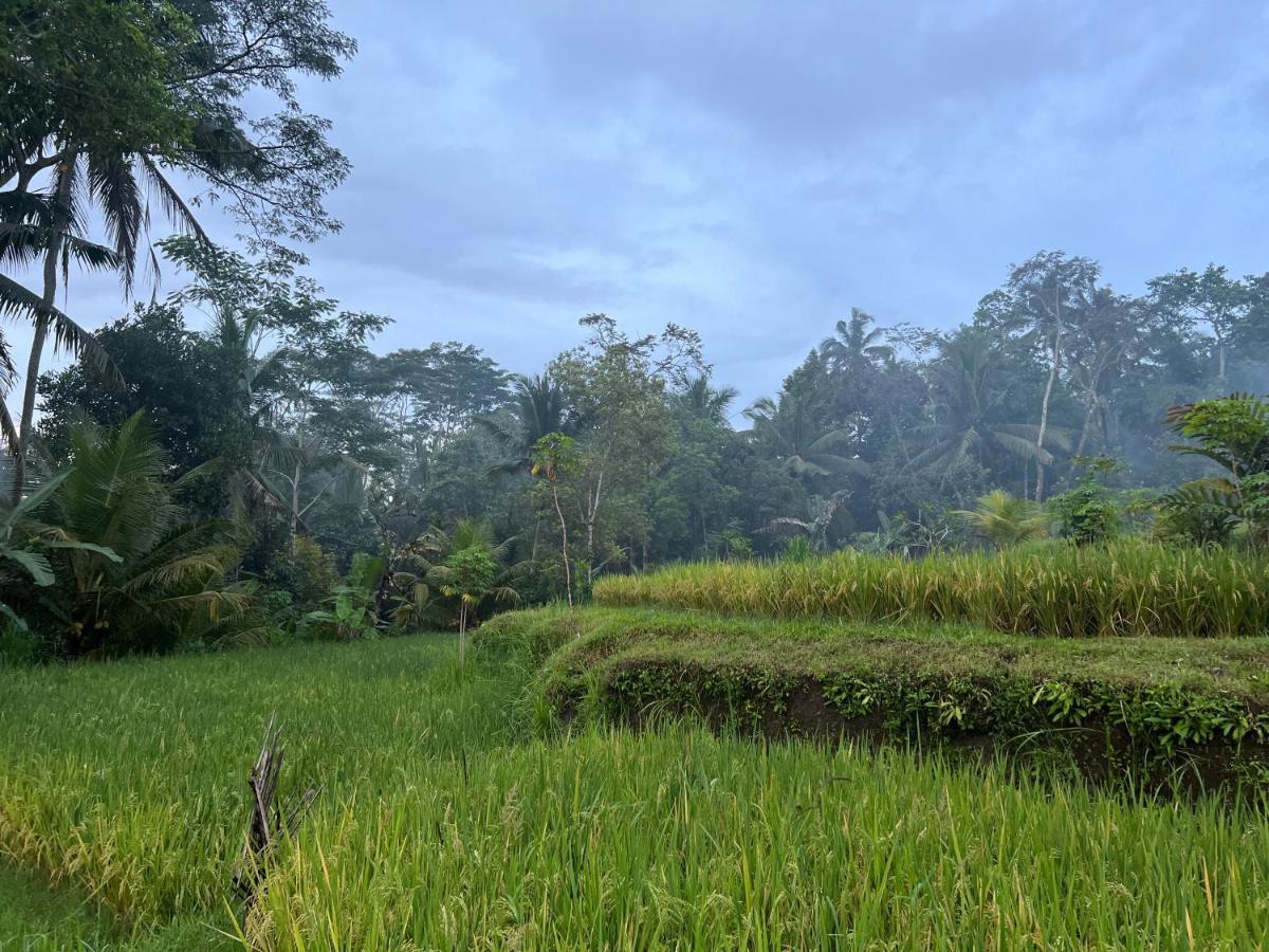 Uma Mupu Retreat Villa กีอันยาร์ ภายนอก รูปภาพ